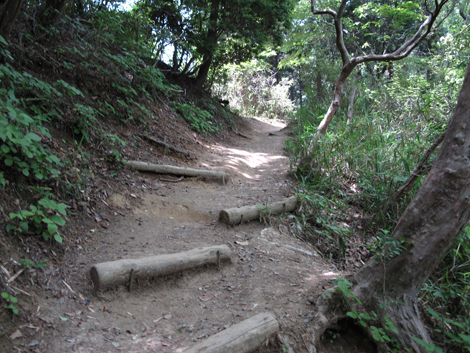 20140602hike (263)